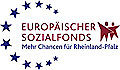 Logo-Berufsmentor-ESF