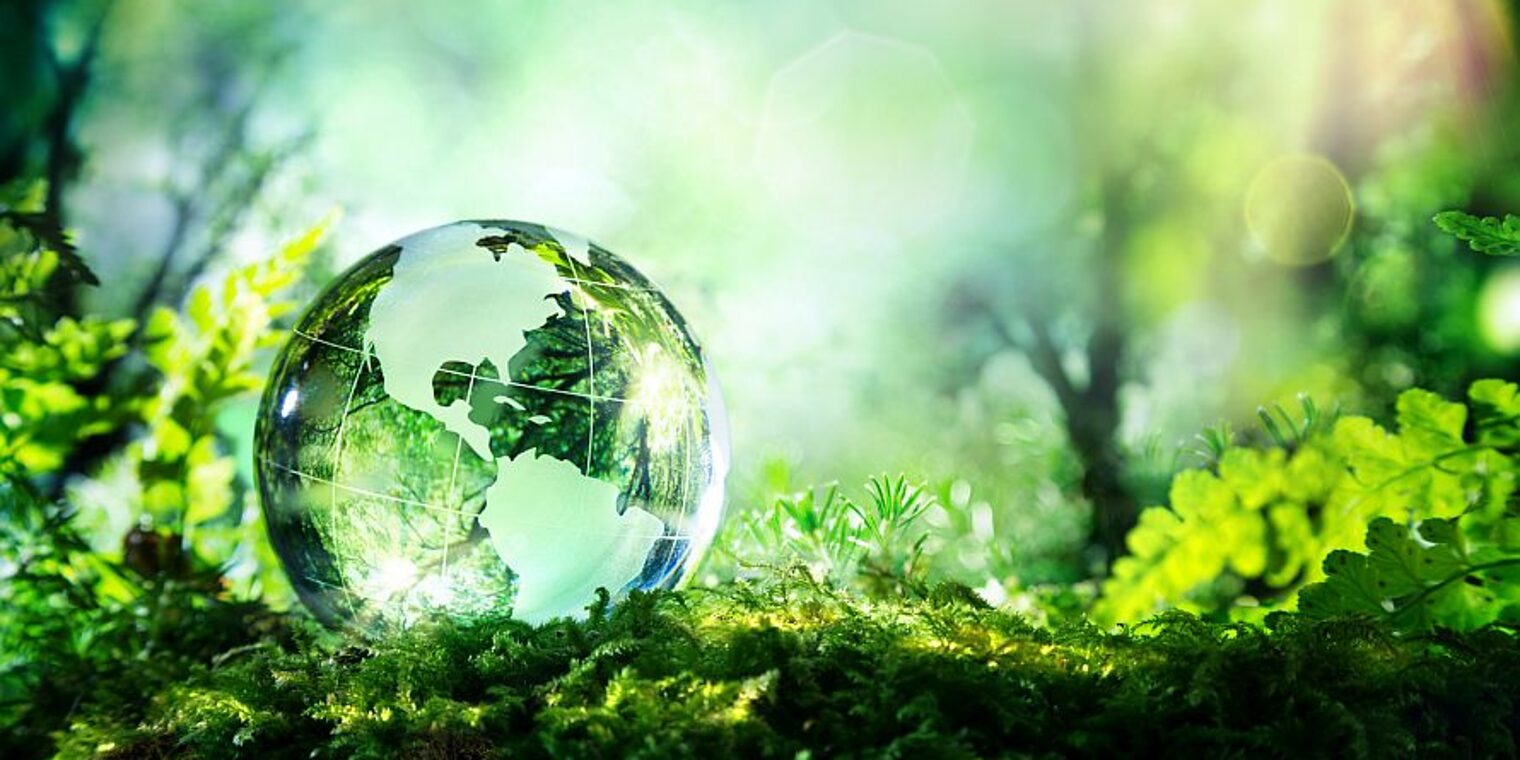 globe, green, glass, nature, environment, environmental, forest, moss, planet, concept, conservation, plant, earth, day, usa, ecology, trees, america, sunlight, sustainable, development, world, transparent, grass, copy space, fresh, background, color, crystal, reflection, sphere