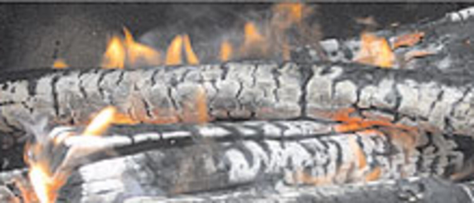 Heizen mit Holz und Sonne 2011