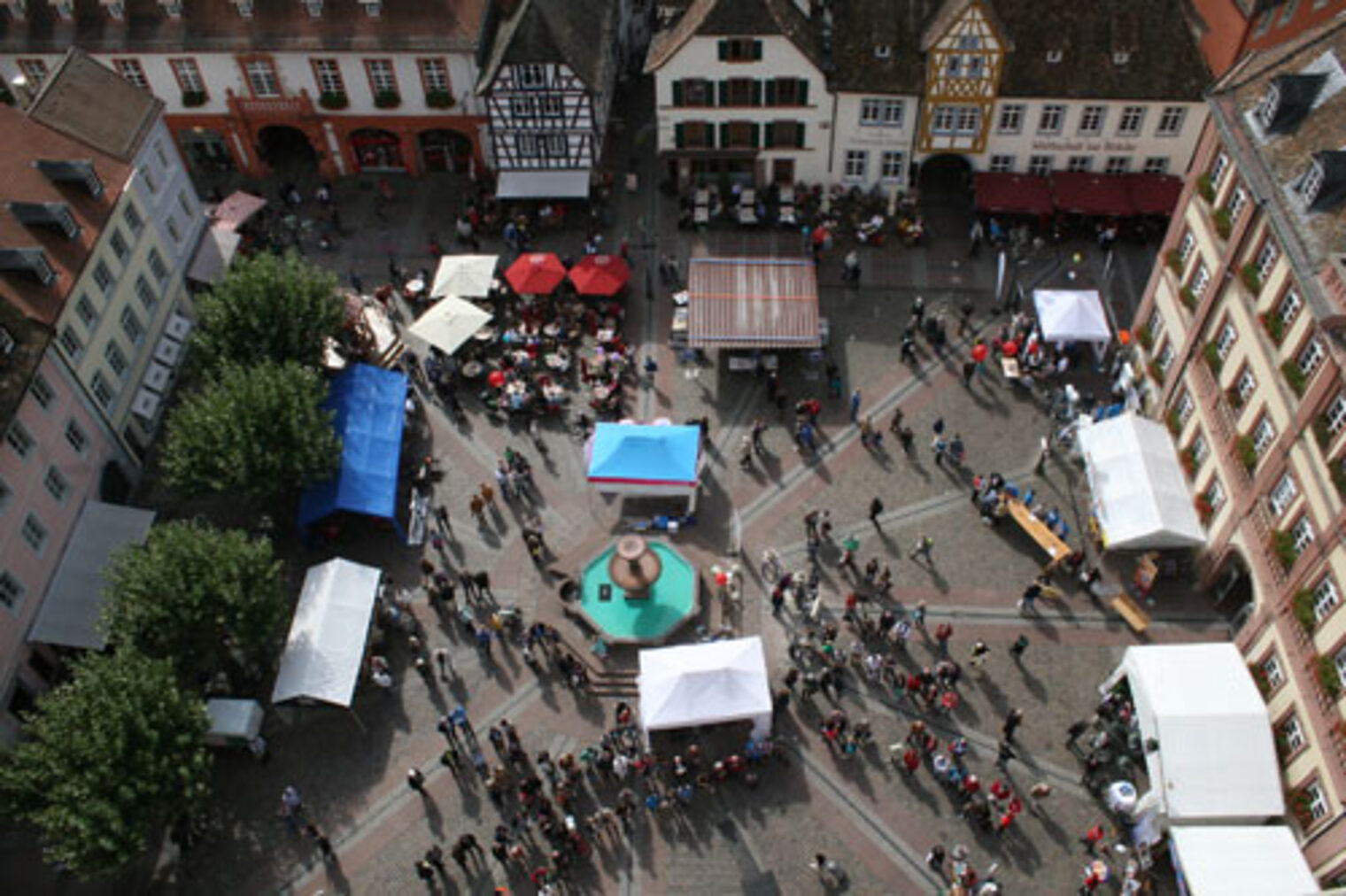 TdH_2013_NW_6