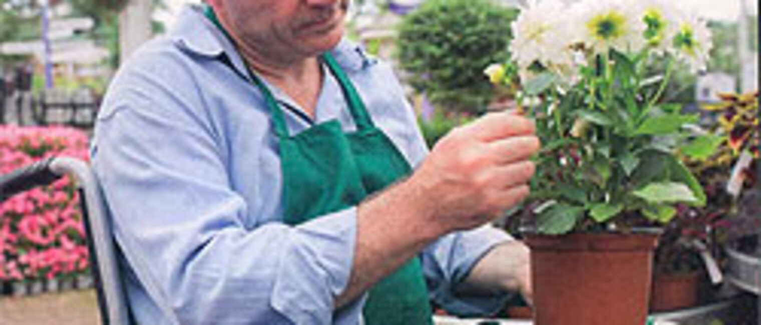 Landespreis-für-beispielhafte-Beschäftigung-schwerbehinderter-Menschen