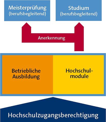 Grafik Ausbildung plusHS