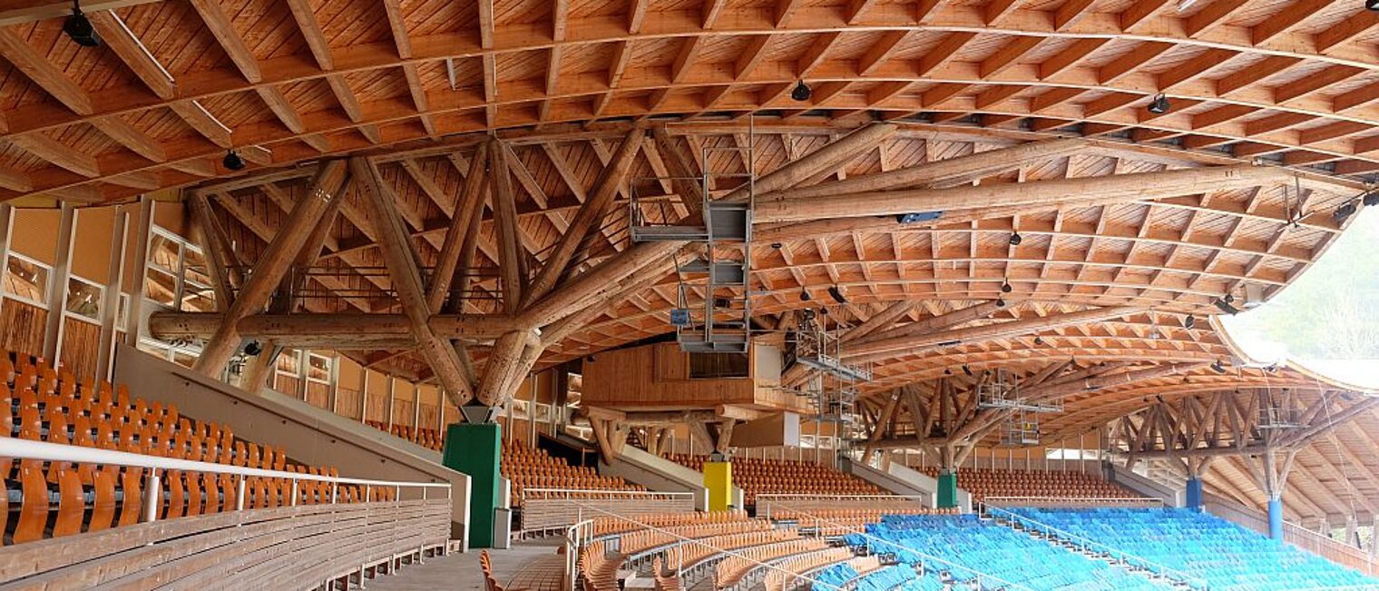 Holz Cluster