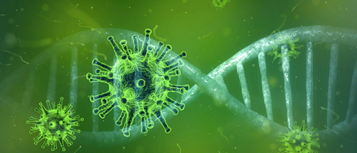 coronavirus