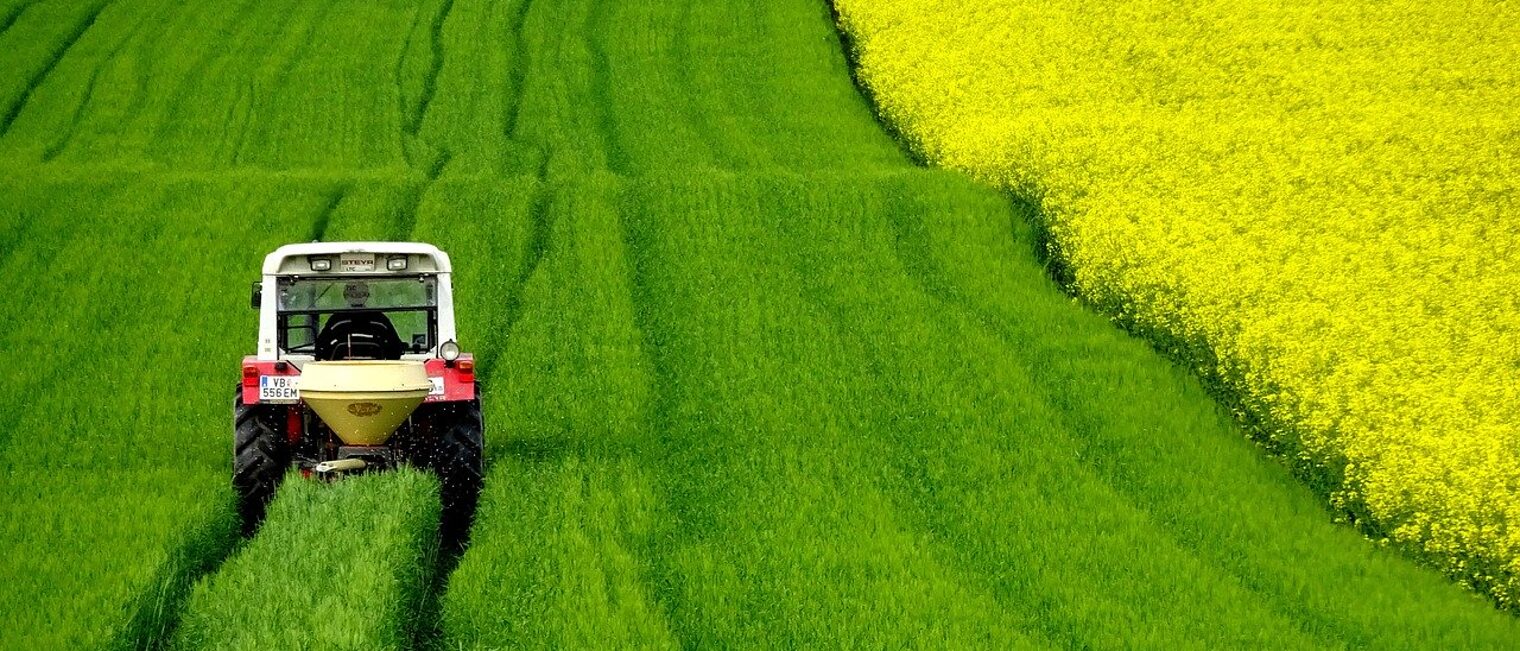 Rapsfeld und Traktor wurliburli pixabay
