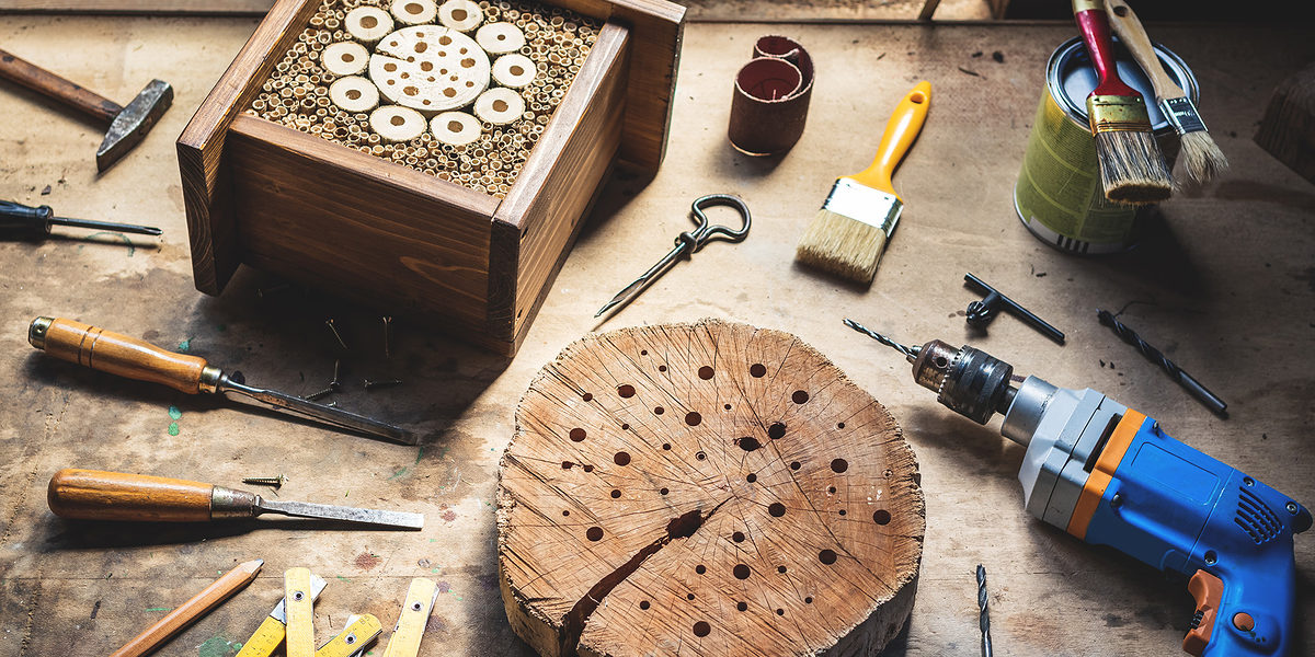 tool, workshop, wood, insect, hotel, house, carpentry, work, equipment, craft, diy, wooden, making, homemade, insect hotel, drill, paintbrush, craft product, table, object, working, creativity, hobbies, design, drill bit, place of work, hand tool, chisel, hammer, paint, work tool, skill, industry, decorative, no people, timber, desk, hole, retro, gardening, shelter, decoration, indoors, box, protect, insect house, bug, bumblebee, blue