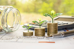 Plant trees on coins and calculators, financial accounting concepts and save money. Schlagwort(e): accounting, bank, banking, budgets, business, calculator, cash,