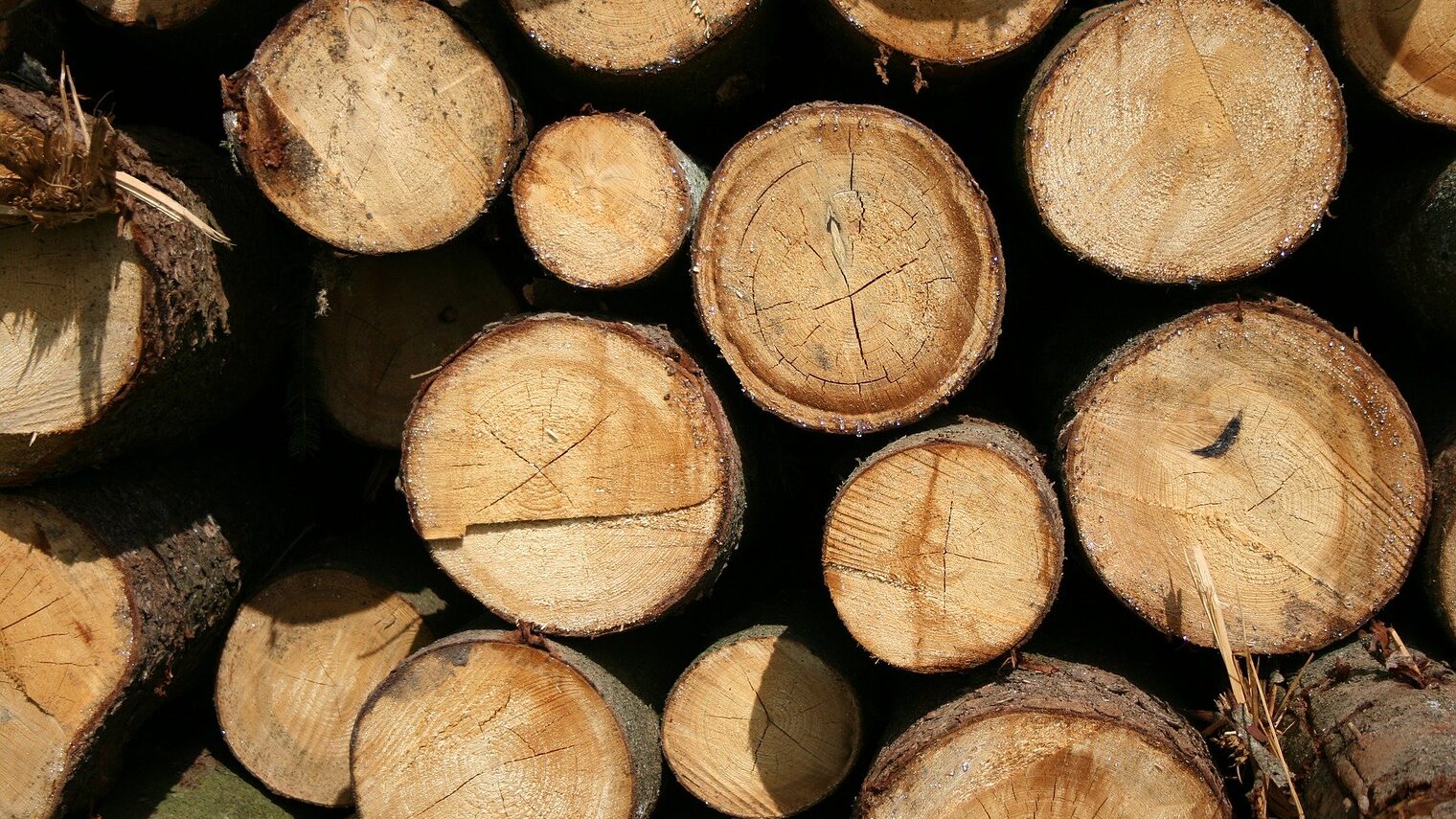 wood-750024_1920_Holz Pixabay