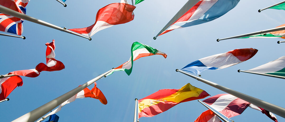 himmel, bunt, flaggen, fahnen, viele, weltweit, europa, fahnenmast, fahne, flagge, freiheit, frieden, gemaeinschft, gruppe, international, land, politik, nation, nationen, sommer, symbol, symbolisch, un, uno, vielfältig, wehen, wolkenlos, zeichen