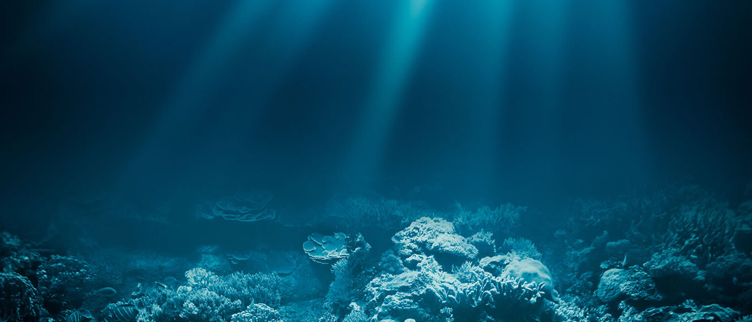 Sea deep or ocean underwater with coral reef as a background Schlagwort(e): beam,deep,beauty,concept,air,sun,life,marine,sea,aqua,diving,sea