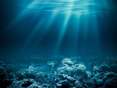 Sea deep or ocean underwater with coral reef as a background Schlagwort(e): beam,deep,beauty,concept,air,sun,life,marine,sea,aqua,diving,sea